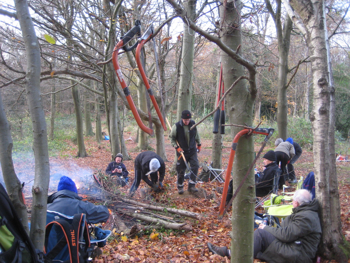 "loppers and saws" art installation, glory wood